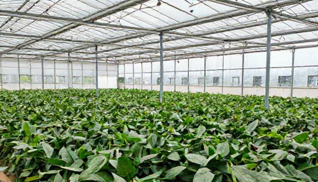 数据质量检查的5个关键要点与维护建议